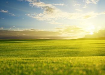 Dieu est compatissant