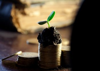 La patience, un investissement qui rapporte