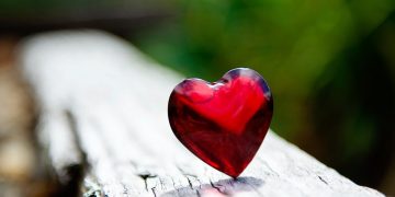 Qui a dit qu’Aimer était facile ?