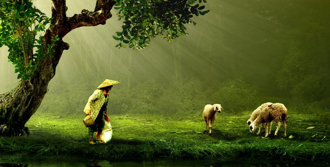 Berger ou mercenaire