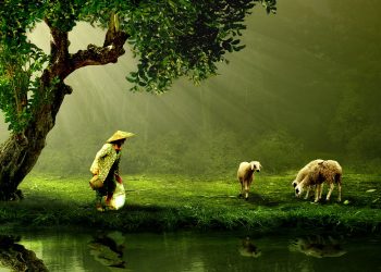 Berger ou mercenaire