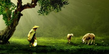 Berger ou mercenaire