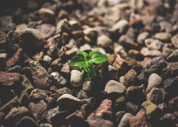 Il est temps de grandir !