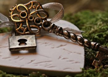 Le protecteur de notre cœur