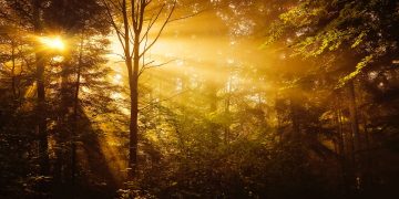 La promesse du Saint-Esprit