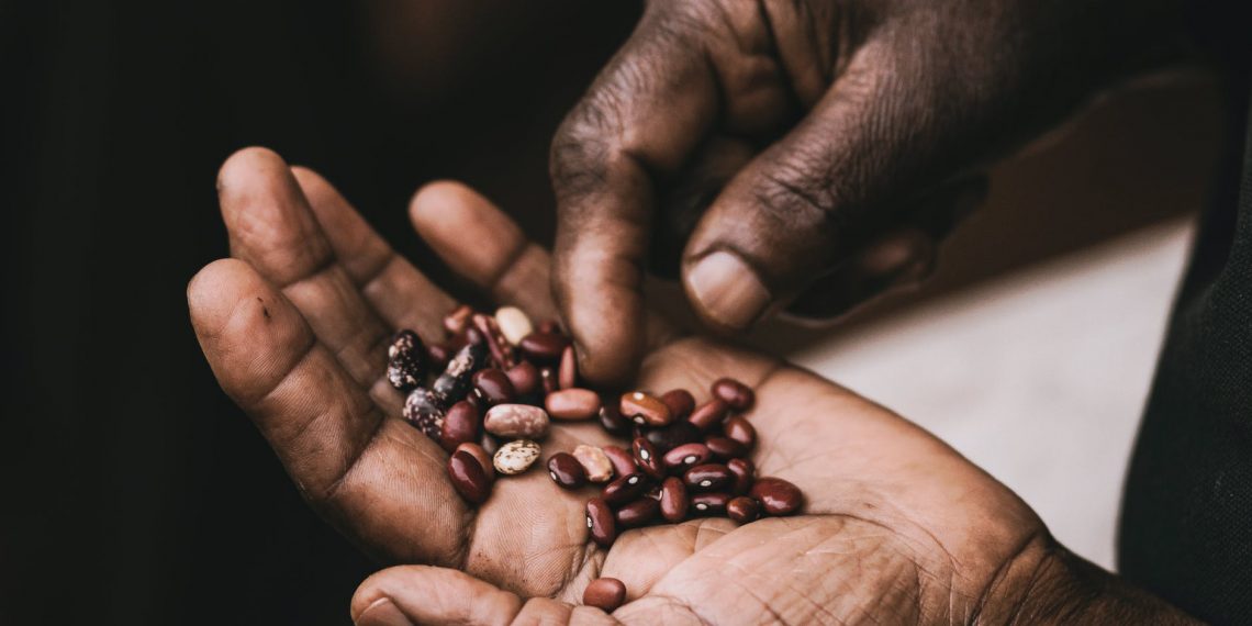 Le fruit de ma semence